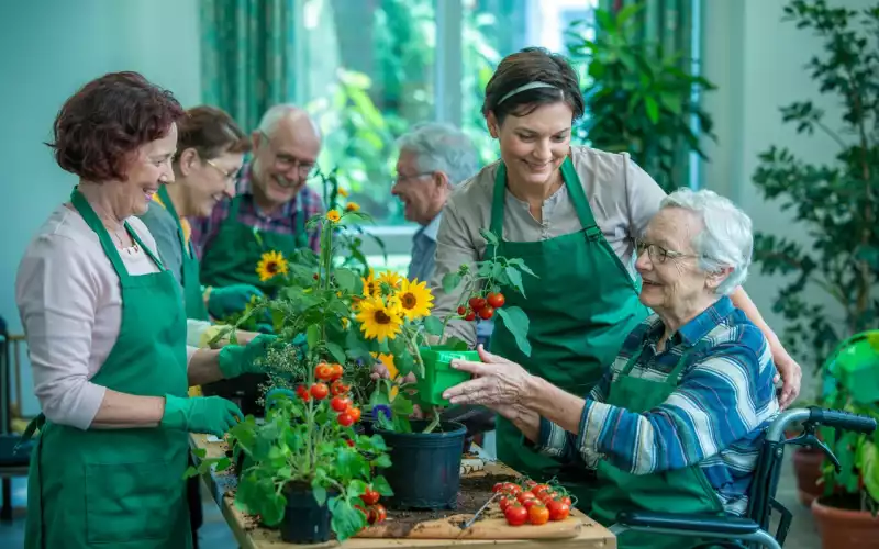 Jardinage extérieur : renouer avec la nature et cultiver la joie de vivre