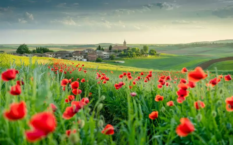 Organiser des sorties : pourquoi c'est essentiel pour l'image de votre EHPAD