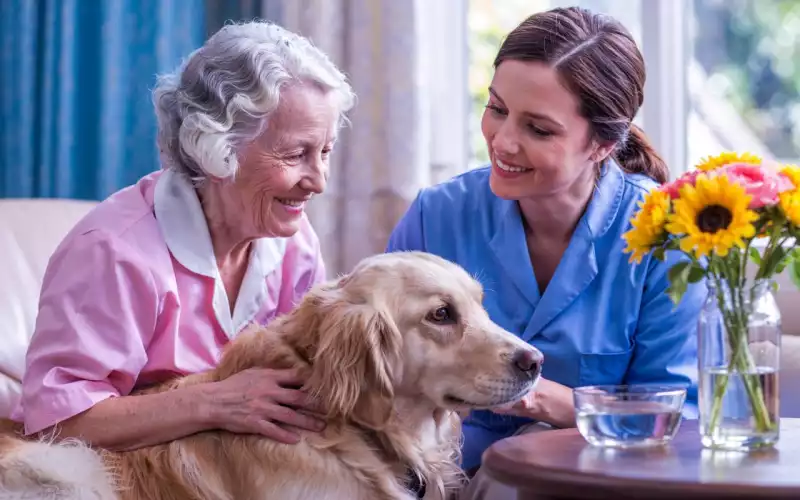 Médiation animale : créer des ponts d'émotion et d'affection au quotidien