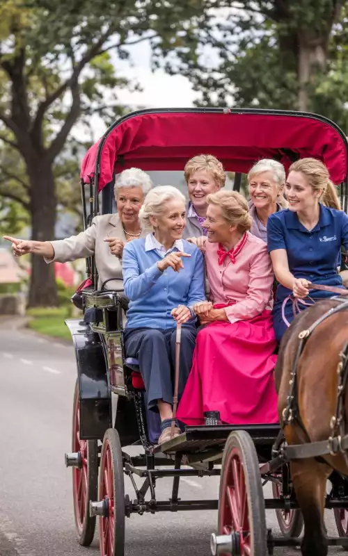 Sortie en calèche : voyager autrement et ressentir la magie du déplacement doux