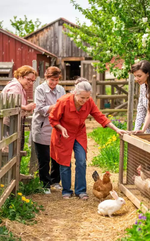 Sortie en ferme pédagogique : renouer avec la vie simple et les souvenirs d'enfance