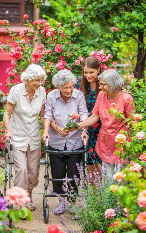 Visite de jardins : émerveiller les sens et cultiver l'apaisement