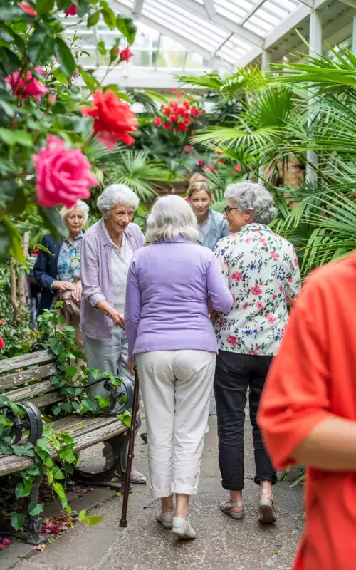 Balade en roseraie : éveiller les sens et cultiver la beauté du vivant